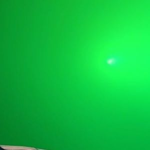 Meet your Posher, Bailey